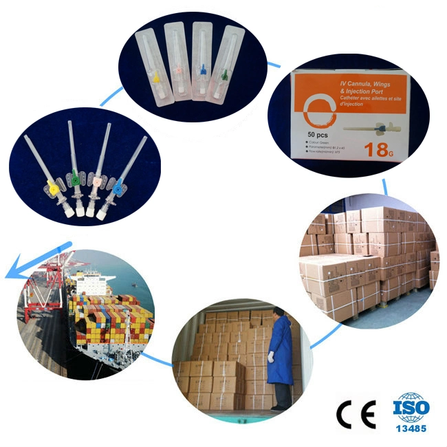 Disposable IV Cannula/Introvenous Cannula/IV Catheter with Wing Type 20g